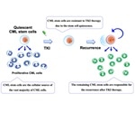 Researchers identify new way to treat chronic myelogenous leukemia