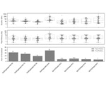 Researchers develop an advanced tool for accurate assembly of organelle genomes