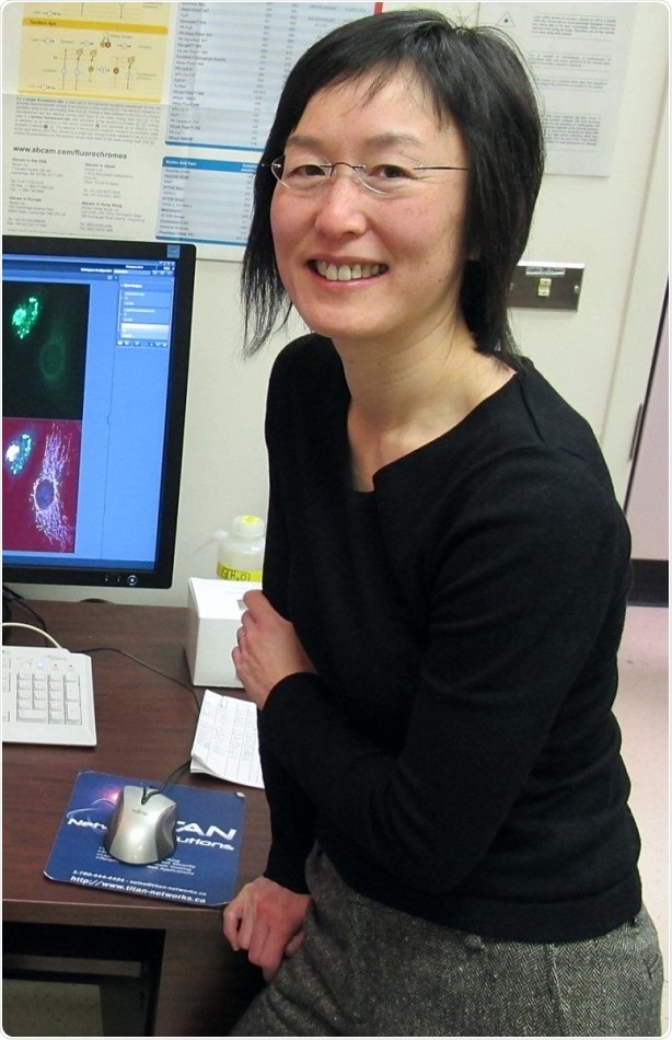 Researchers identify protein that makes cancer cells more aggressive