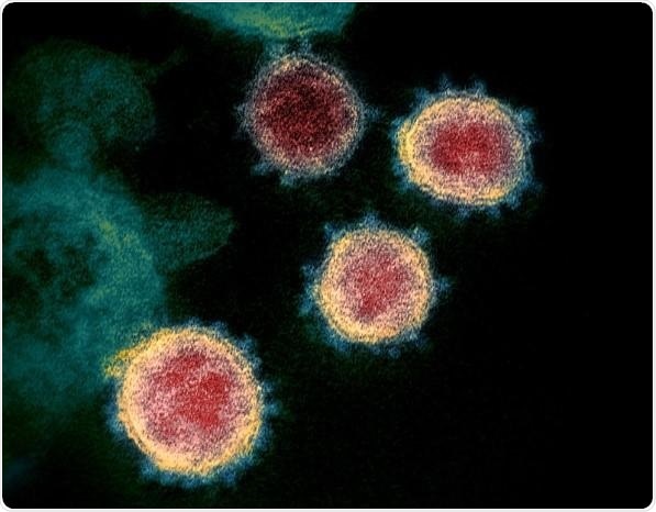New study can help develop effective COVID-19 vaccine