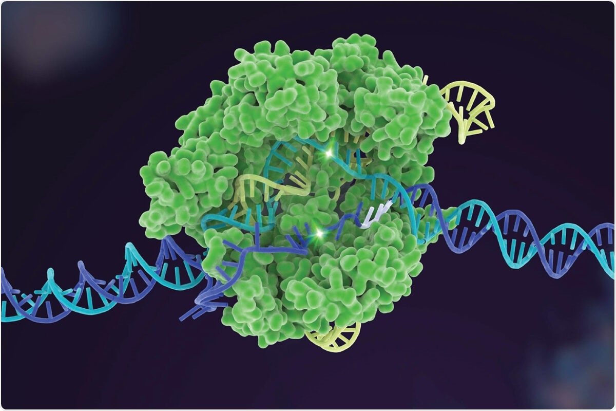 Novel tool helps select the best gene-editing option