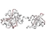 Researchers develop antibacterial agent to treat drug-resistant infections