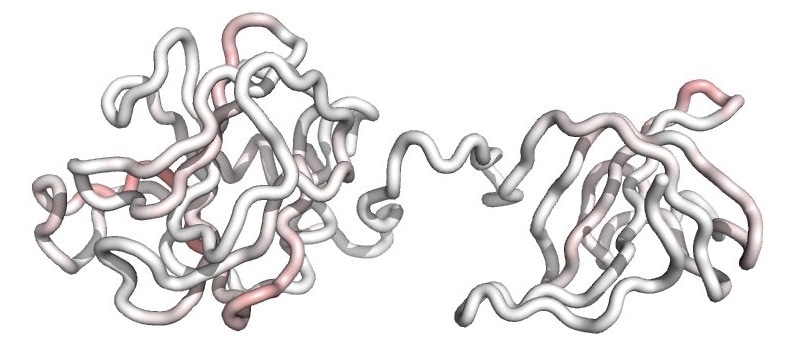 Researchers develop antibacterial agent to treat drug-resistant infections