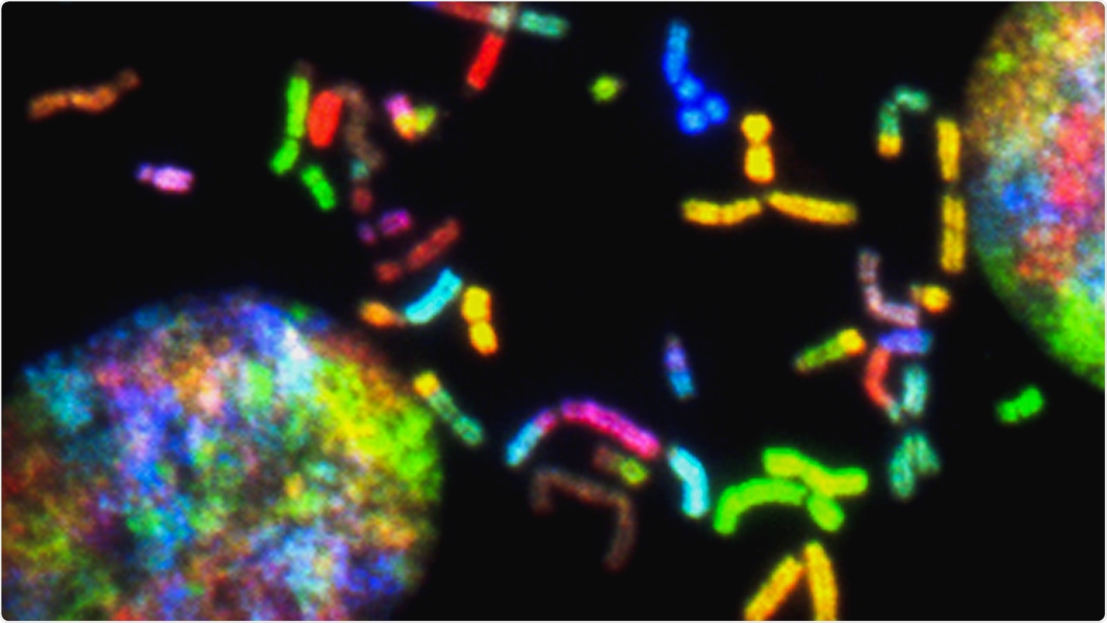 New mathematical tools reveal the evolution and spread of tumors