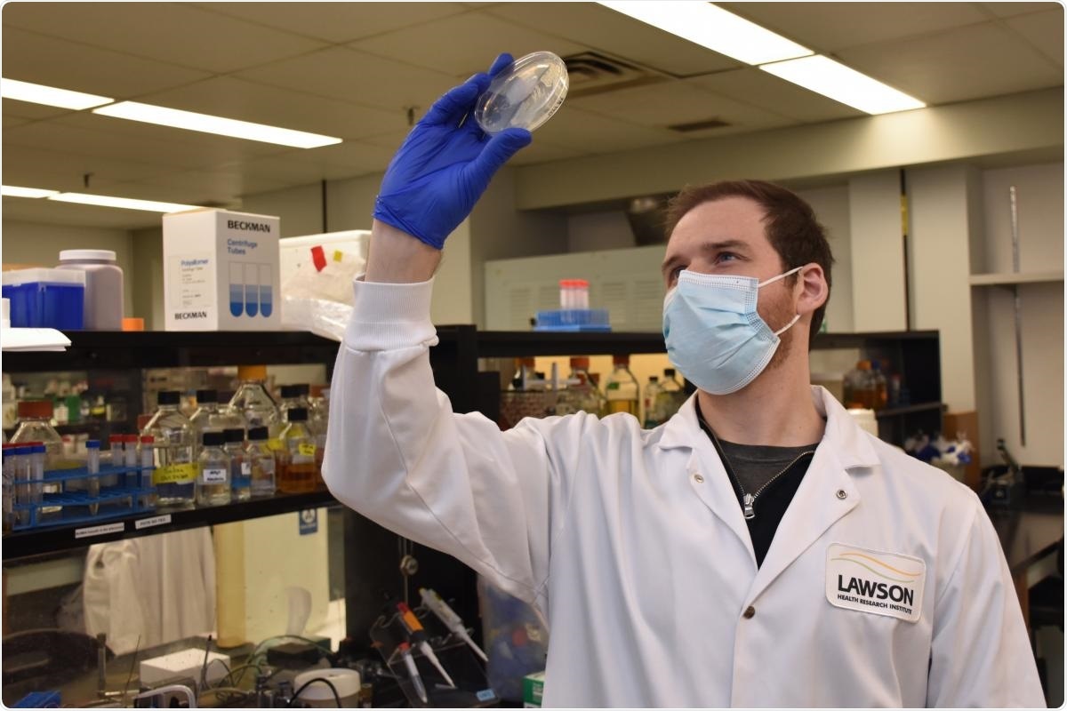 Gut bacteria may play a role in the treatment of prostate cancer
