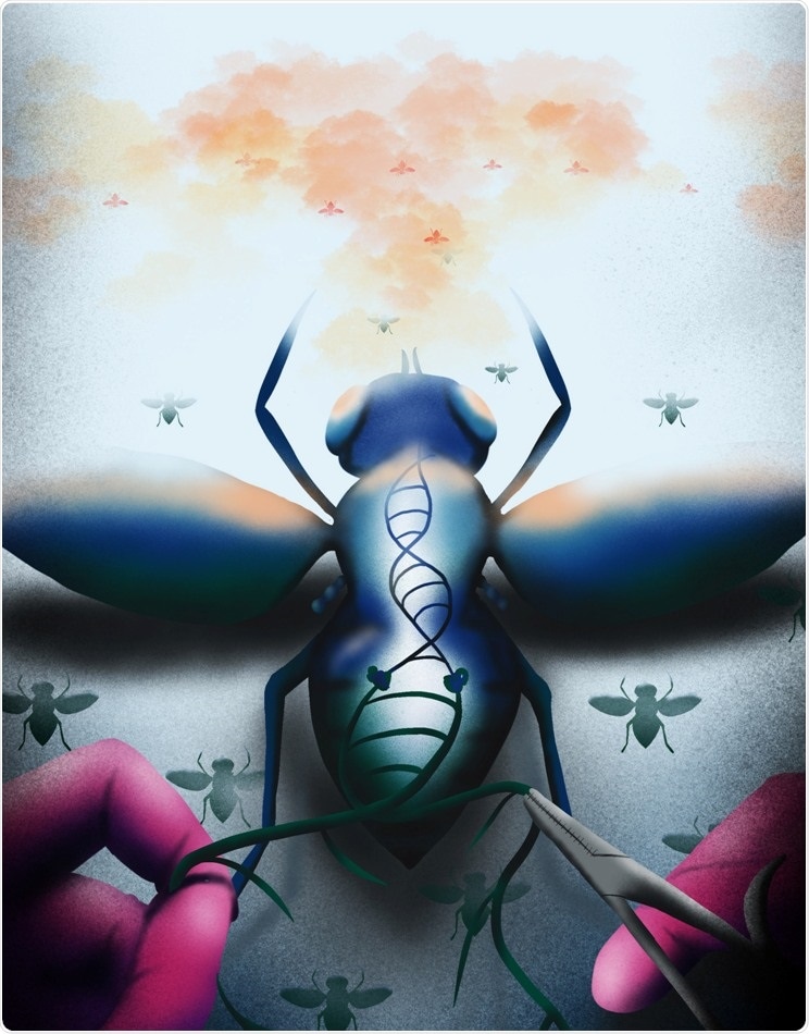 Researchers develop new tools that control the balance of genetic inheritance