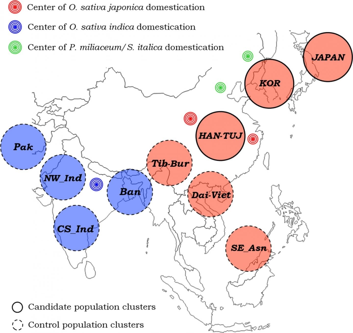 Study identifies genetic factors that mitigate the risk of diabetes and obesity