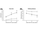 Researchers identify new therapeutic target for spinocerebellar ataxia