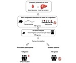 New study can help develop diagnostic markers for type 2 diabetes