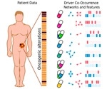 New system predicts tumor response to different treatments