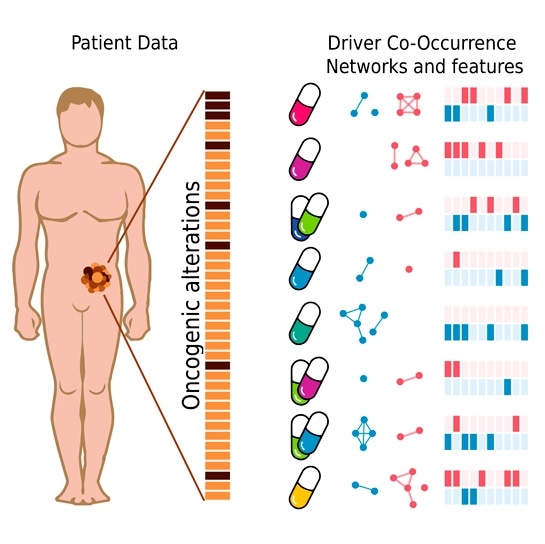 New system predicts tumor response to different treatments