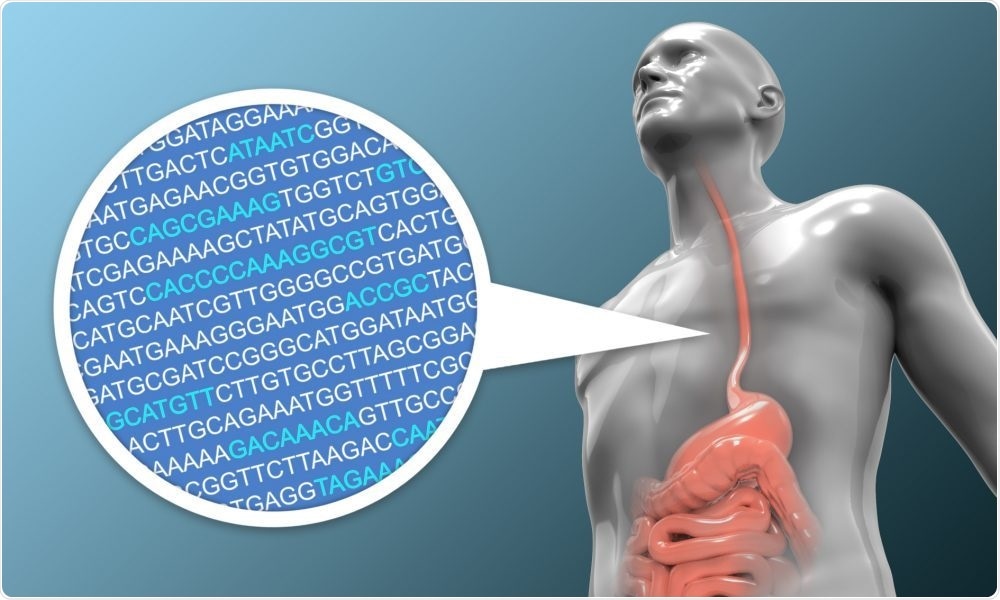 Researchers develop statistical model that predicts risk of developing esophageal cancer