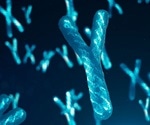 Study sheds new light on the role of Y chromosome genes