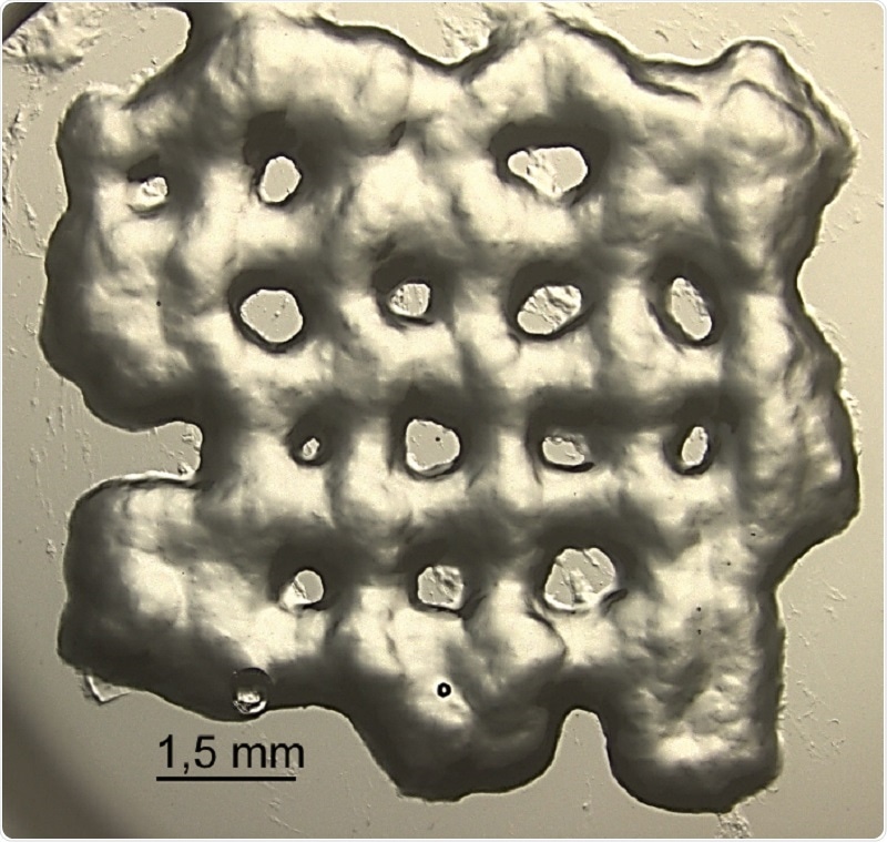 New 3D hydrogels show promise in cancer immunotherapy