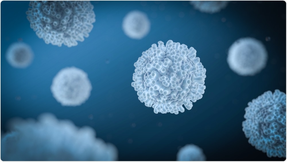 T Cells T Cells