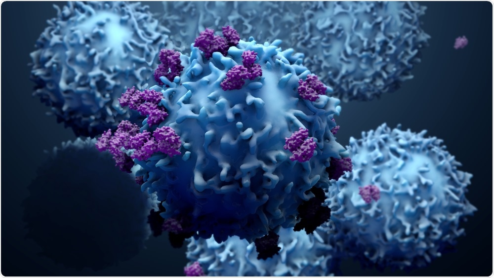 T Cells