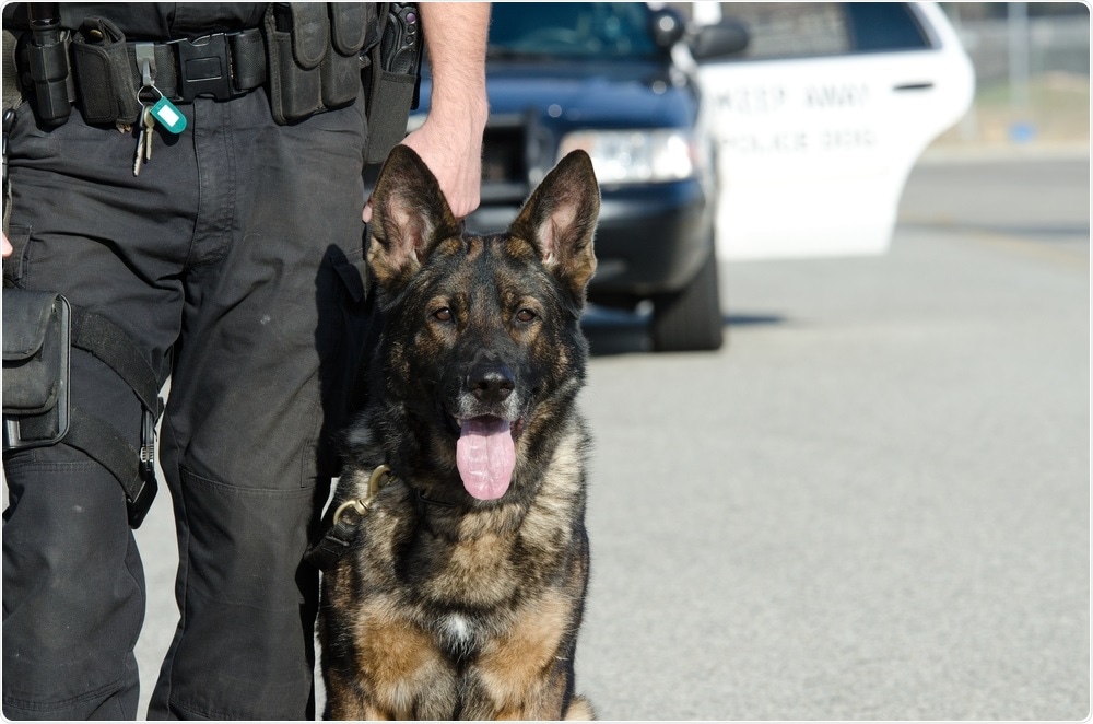 Police Canine Police Canine