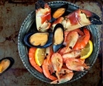 Migrations Stop Shellfish From Escaping Ocean Warming