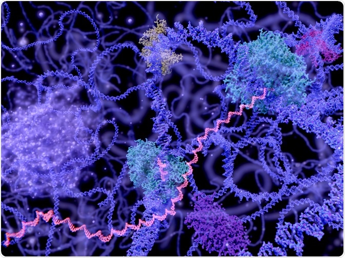 Gene Expression Gene Expression