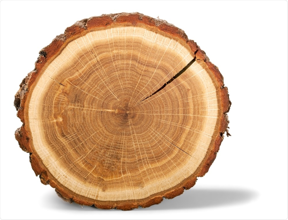 Tree Rings Tree Rings