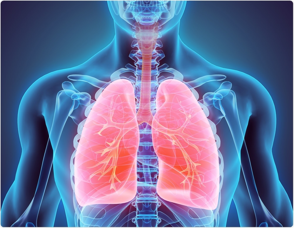 Lung