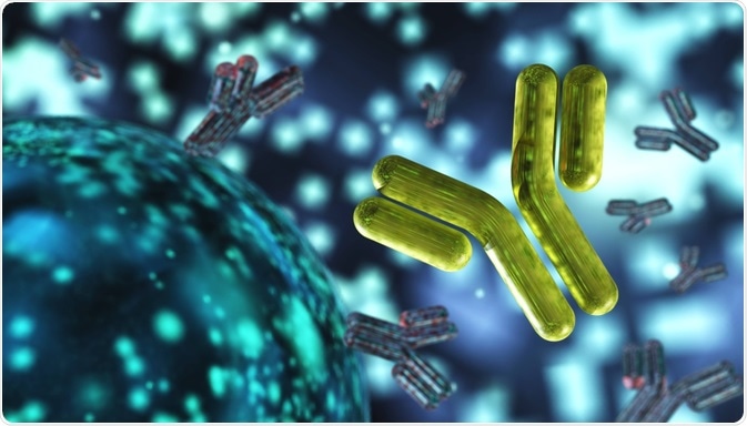 Immunoglobulins Immunoglobulins