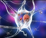 Stem cells can repair parkinson's-damaged circuits in mouse brains