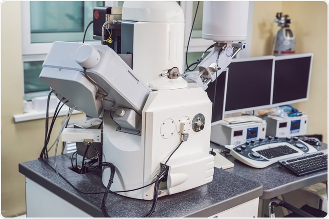 Scanning Electron Microscope Scanning Electron Microscope