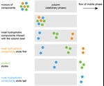 Reversed-Phase Chromatography: An Overview