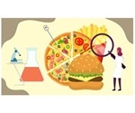 Exaggerated activation of food quality control system may explain the rising food allergies