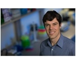 COVID-19 virus triggers antibody response from prior coronavirus infections