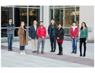 Study shows TALEN is five times more efficient than CRISPR-Cas9 tool