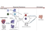 Combination method can boost immunotherapy for breast cancer