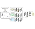 New deep neural network predicts transcription factors from protein sequences