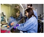 Regulatory T cells found to promote inflammation in periodontal disease