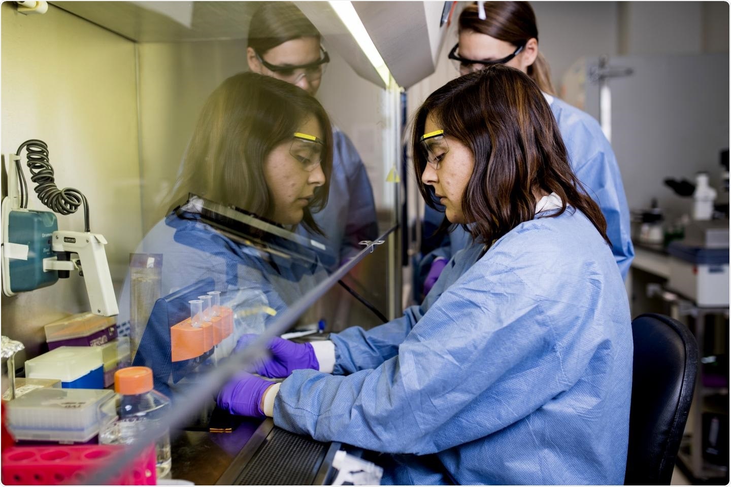 Regulatory T cells found to promote inflammation in periodontal disease