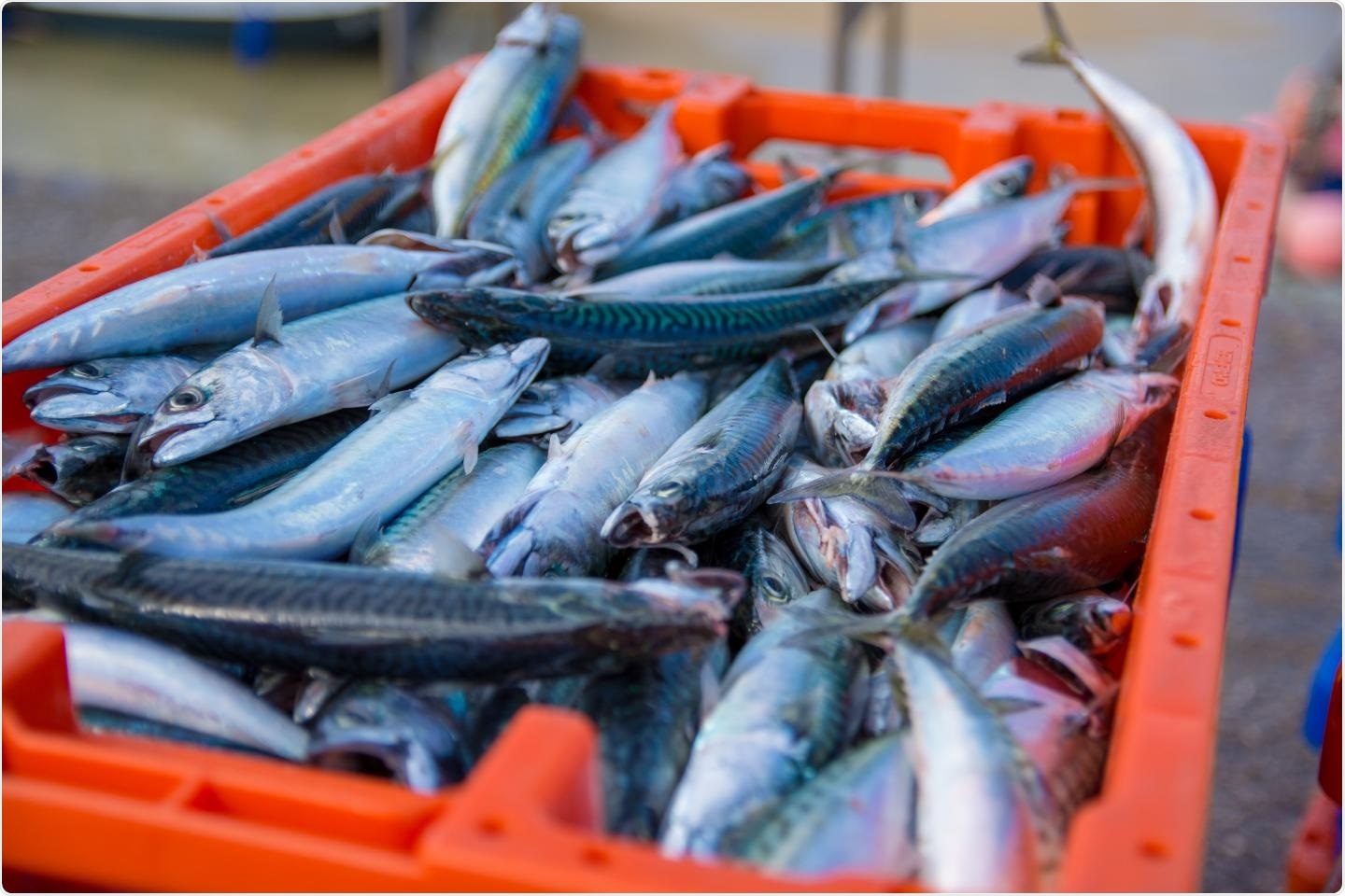 New technique helps detect dangerous histamine levels in fish samples