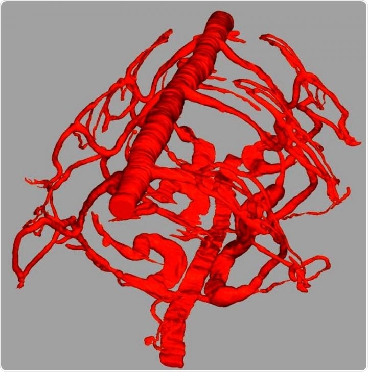 Study shows that hemoglobin in several species descends from a single gene