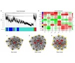 Study identifies gene networks that control sugar and organic acid metabolism during fruit development