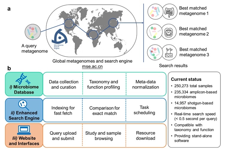 New search engine helps compare samples in different microbiomes