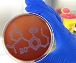 Synthetic cannabidiol can kill bacteria that causes gonorrhoea