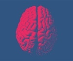 Scientists use stem cells to reverse memory and learning deficits in mice with craniosynostosis
