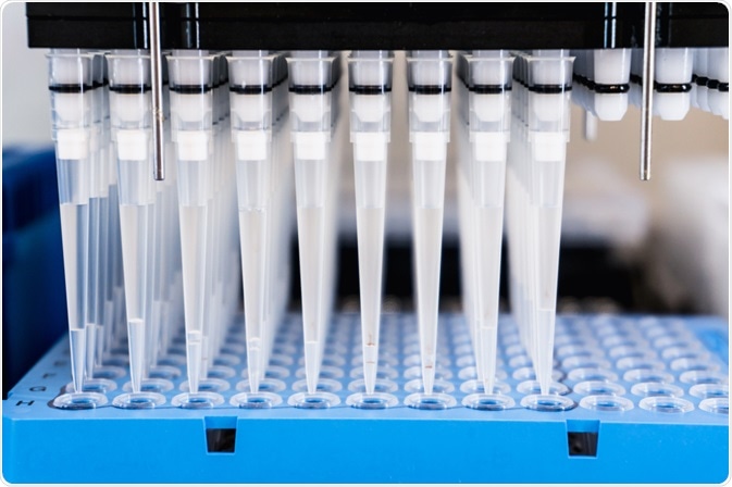 High Throughput Screening High Throughput Screening