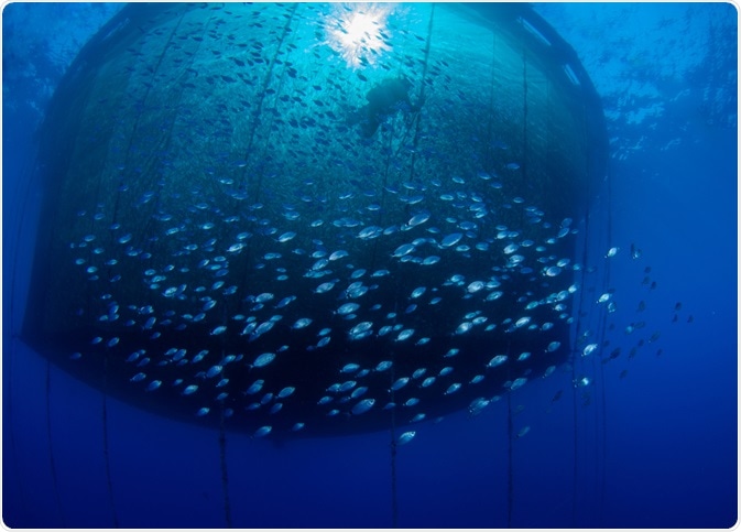 Aquaculture Net Aquaculture Net