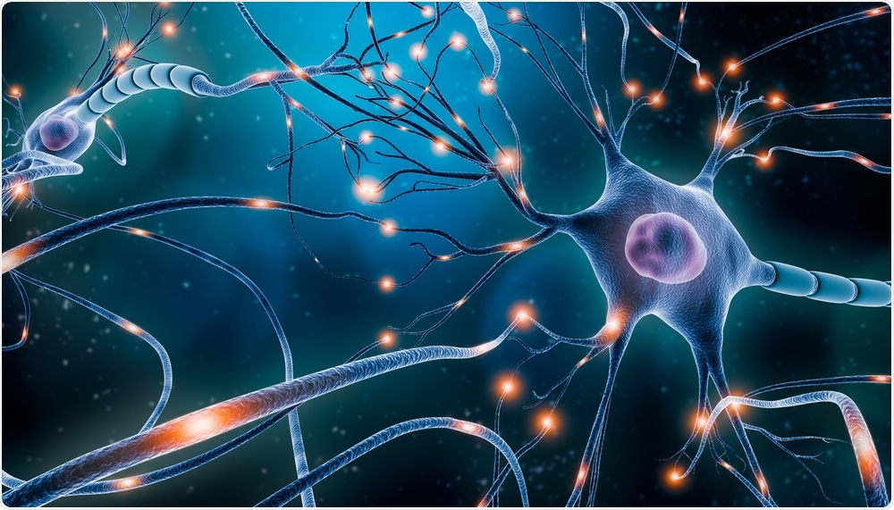 Neurons Neurons