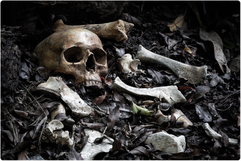 Skull and Bones Skull and Bones