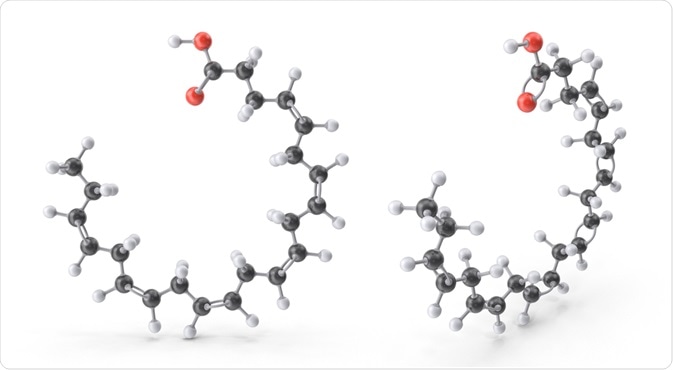 Zwitterion Molecule Zwitterion Molecule