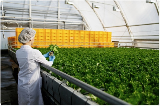 Quality control of food Quality control of food