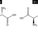 L and D Isomers