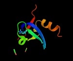 Scientists resolve long-standing debate over key mechanism involved in gene silencing